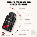 Berberine Advanced Plus With 1200Mg Berberine - 100Mg Ceylon Cinnamon And 100Mg Green Tea Extract - 1400Mg Per Dose -120 Capsules - 60 Day Supply - Supports Immune And Cardiovascular
