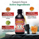 Life Cykel Cordyceps + Lions Mane Extract Performance Pack - Organic Mushroom Supplement For Energy, Focus & Mental Clarity - Usa Made, Pure & Potent Mushroom Liquid Drops For Adults