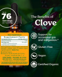 Herb Pharm Certified Organic Clove Liquid Extract - 1 Ounce