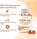 Micro Ingredients Ksm-66 Ashwagandha Gummies 300Mg, 120 Count | Sugar Free Mango Passion Fruit Flavor | Ashwagandha For Women & Men | Potent Root Extract | Herbal Support For Relaxation | Non-Gmo