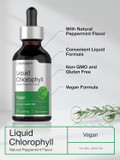 Horbäach Liquid Chlorophyll Drops | 2 Oz | Vegan, Non-Gmo, And Gluten Free Formula | Natural Peppermint Flavor