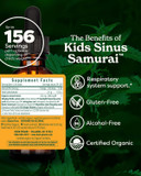 Herb Pharm Kids Certified- Alcohol-Free Sinus Samurai Liquid Herbal Formula, Organic, 1 Fl Oz