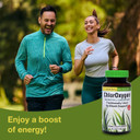 Herbs Etc. Chloroxygen Chlorophyll Concentrate - Aids Healthy Blood Circulation - High-Altitude Environment Support - Energy Support - 120 Softgels (120 Servings)