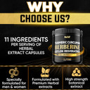 Berberine Supplement. Added Turmeric Curcumin, Trans-Resveratrol & More - Support Gastrointestinal, Body Management & Immune System - 60 Capsules