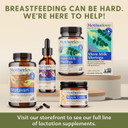 Motherlove More Milk Plus (2 Ounce Tincture) Fenugreek-Based Lactation Supplement To Support Breast Milk SupplyUsda Certified Organic, Vegan, Kosher, Soy-Free