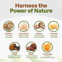 Go Nutra - Organic 7 Mushroom Supplement, Longevity Mushroom Powder With LionS Mane, Chaga, Shiitake, Maitake, Reishi, Tremella, And Cordyceps Mushroom, Non-Gmo, Gluten-Free, Vegan, 4 Oz