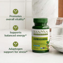 Banyan Botanicals Ashwagandha Tablets  Organic Ashwagandha Root  Renowned Herbal Adaptogen For Natural Energy Support And Stress Support*  180 Tablets  Non-Gmo Sustainably Sourced Vegan