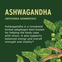 Banyan Botanicals Ashwagandha Tablets  Organic Ashwagandha Root  Renowned Herbal Adaptogen For Natural Energy Support And Stress Support*  180 Tablets  Non-Gmo Sustainably Sourced Vegan