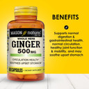 Mason Natural Whole Herb Ginger 500 Mg, 6 Month Supply, Natural Herbal Supplement, 60 Capsules (3 Pack) Mason Natural Whole Herb Ginger 500 Mg, 6 Month Supply, Natural Herbal Supplement, 60 Capsules (3 Pack)