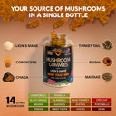 Mushroom Gummies - Lions Mane | Turkey Tail | Cordyceps | Reishi & Chaga - 20-In-1 Natural Mushroom Supplement 1050 Mg - Energy, Focus, Mood & Cognitive Support - Vegan, Berry Flavor - 60 Gummies