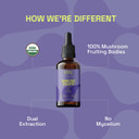 Earth & Star Everything Drops - Functional Mushroom Dual Liquid Extract - Health Boosting Nootropics For Immune Support, Glowing Skin, Focus, & Energy - 2 Oz