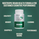 Orlo Focus & Memory Gummies  Nootropic Supplement For Adults With LionS Mane, L-Theanine, Phosphatidylserine, Spirulina, Vitamin B6 & B12 Methylcobalamin (60 Gummies)
