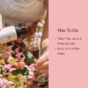 Urban Moonshine Immune Zoom - Stimulates Immune System* - Fast-Acting Immune Booster* With Echinacea, Elderberry & Raw Honey - Immune Support Supplement - Gluten Free Herbal Supplement* - 8.4 Fl Oz