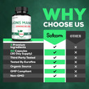 Lions Mane With Ginkgo Biloba Supplement - 60 Capsules - Extra Strength For Restful Mind, Brain Health, Immune System & Focus - Gluten-Free, Non-Gmo Lions Mane With Ginkgo Biloba Supplement - 60 Capsules - Extra Strength For Restful Mind, Brain Health, Immune System & Focus - Gluten-Free, Non-Gmo