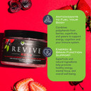 Karamd Revive Reds | Delicious Polyphenol Energy Booster Supplement | Vegan Friendly, Gluten Free & Non-Gmo Superfood Powder | Antioxidants, Shilajit & Enzymes (30 Concentrated Servings)