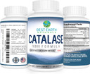 Best Earth Naturals Catalase Supplement 10,000 With Saw Palmetto, Biotin, Fo-Ti, Paba - Hair Supplements For Strong Hair - 60 Capsules