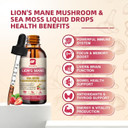 Lions Mane Supplement Mushroom Drops With 6-Mushroom Complex & Irish Sea Moss  Vegan Lion'S Mane Liquid For Cognitive Support, Immune & Digestive Health  Dual Extraction, Non-Gmo, Strawberry Flavor