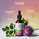 Milk Thistle Drops With Moringa - Milk Thistle Extract Liquid For Liver Cleanse Detox & Repair, Immune Support, Antioxidant Blend With Burdock, Green Tea & Dandelion - Vegan, Apple Flavor, 2 Fl Oz