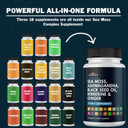 Bioschwartz Sea Moss Black Seed Oil Ashwagandha Ginger Supplement With Turmeric Berberine Hci Burdock Bladderwrack Resveratrol Elderberry Manuka Honey Apple Cider Vinegar Acv - 120 Sea Moss Capsules