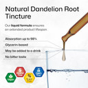 Bio Krauter Dandelion Tincture - Pure Dandelion Root Supplement For Liver & Kidney Support - 4 Fl. Oz - 56 Days Of Supply - Vegan Extract Liquid Drops Non-Gmo, No Fillers, No Sugar & Non-Alcohol
