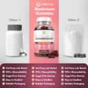 Sugar-Free Ashwagandha Gummies For Stress, Sleep & Mood Support - High-Potency 30:1 Ashwagandha Supplement Extract - Vegan Adaptogen Supplement For Women & Men, Natural Flavor, Plant-Based, 90 Gummies