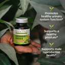 Banyan Botanicals Gokshuradi Guggulu Tablets  Organic Ayurvedic Supplement With Guggulu Resin & Gokshura  Support Urinary Tract Health*  90 Tablets  Non-Gmo Sustainably Sourced Vegan Fair For Life