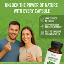 Bixa Botanical Moringa Powder (Organic Moringa Oleifera - 100% Pure Moringa Leaf/Drum Stick Shigru) | Perfect For Drinks, Tea,Smoothies & Recipes - 16Oz