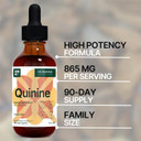 Quinine Liquid Extract 4 Fl Oz - Supplement For Digestive Health Support - Natural Liquid Drops - Cinchona Officinalis Bark - Tincture For Cramp Defense For Man & Woman - High Potency - 90-Day Supply