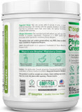 Biophix Phytoberry Greens Superfood Powder 10.6 Oz - Natural Berry Flavor Greens Vegetables Fruits Fiber Probiotics Smoothie Shake Nutrition Drink
