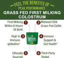 First Milking Colostrum Powder From Grass Fed Usa Cows Milked Within 6 Hours Of Giving Birth To Get The Most Bioactive Nutrients. High Immunoglobulin Bovine Colostrum Supplement For Humans