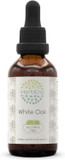White Oak B120 Alcohol-Free Herbal Extract Tincture, Concentrated Liquid Drops Natural White Oak (Quercus Alba) Dried Bark (4 Fl Oz)