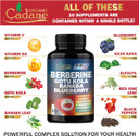 Organic Cadane Premium Berberine Extract 35:1 - Berberine Supplement 10In1 With Gotu Kola, Banaba Leaf & More - 150 Capsules For Immunity & Digestion System Support