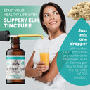 Slippery Elm Drops - Lung, Digestive & Women'S Support - Slippery Elm Dried Bark Tincture Herbal Supplement, Ulmus Rubra, Non-Gmo In Cold-Pressed Organic Vegetable Glycerin, 700 Mg, 2 Fl Oz (60 Ml)