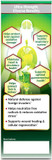 Labo Nutrition Brazilian Green Propolis Ultimate  Propolis Extract With 28Mg Artepillin C And 5% Flavonoids Natural Bee Supplement For Immune, Brain Support High Concentrate Propolis, 60 Veg Capsx3