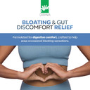 Daiwa Gastroimmune - Gut Health And Immunity Supplement - Non-Gmo, Protein-Based Formula For Digestive Wellness  60 Capsules Daiwa Gastroimmune - Gut Health And Immunity Supplement - Non-Gmo, Protein-Based Formula For Digestive Wellness  60 Capsules