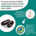 Liposomal Ampk Activator 2000 Mg - High Bioavailability Berberine Hcl,Dim,Milk Thistle,And Cinnamon Bark Capsule 6-In-1 Ampk Supplements For Antioxidant Support And Cellular Regulation, 120 Softgels