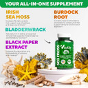 Wildcrafted Irish Sea Moss Capsules With Burdock Root & Bladderwrack - Usa Made Sea Moss Advanced For Hair, Skin, Immune & Energy Levels Support - Seamoss Pills - 100 Vegan Capsules