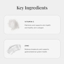 Jshealth Vitamins Skin And Digestion Formula | Skin Supplement With Zinc | Burdock Turmeric | Clear Healthy Skin | Acne Treatment For Teens And Adults | (60 Tablets)