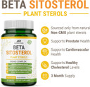 Beta Sitosterol - 500Mg Tablets - Non-Gmo - Support Prostate And Healthy Cholesterol Levels - Phytosterols Complex - Natural Plant Sterols And Stanols