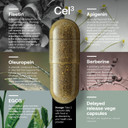 Srw Cel³ Renewal 60 Capsules | Stem Cell Supplement With Fisetin, Apigenin & Oleuropein | For Youthful Cell Function & Renewal, Healthy Aging