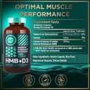Wild Fuel Hmb 1,000Mg Per Serving, 90 Servings - Vitamin D3, Calcium Beta-Hydroxy Beta-Methylbutyrate Hmb Supplements For Men & Women - Muscle Growth, Strength, Fast Workout Recovery - 180 Capsules