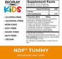 Bioray Kids Ndf Tummy, Raspberry - 4 Fl Oz (120 Ml) - 11-Strain Probiotic Blend - Supports The Immune Response In The Gi Tract - Non-Gmo, Vegan, Gluten Free - Approx. 120 Servings