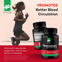 Daiwa Plasmanex 1 - Blood And Vein Circulation Supplements  Balance Circulation, Encourage Healthy Legs And Veins - 60 Vegan Capsules Daiwa Plasmanex 1 - Blood And Vein Circulation Supplements  Balance Circulation, Encourage Healthy Legs And Veins - 60 Vegan Capsules