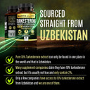 Turkesterone 840 Mg (90 Capsules)  Made In Usa - 3Rd Party Tested - 100% Pure Turkesterone Supplement For Men & Women - Ajuga Turkestanica Extract - Increase Natural Energy & Strength