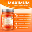 Irish Sea Moss Gel Raw - Wildcrafted Superfood Seamoss Gel - Pineapple Mango Flavor, Vitamin And Mineral-Rich From Pristine Caribbean Waters - 10 Oz