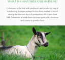 Mt. Capra Goat Milk Colostrum | For Healthy Immune System, Gut, And Athletic Performance | Grass-Fed, High In Immunoglobulins | 60 Servings - 174 Grams