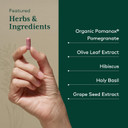 Gaia Herbs Pro Systolic Complex - 60 Caps