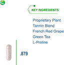 Nutra Biogenesis Dysbiox - Green Tea Pills, Antioxidant Support Supplement For Women & Men With Vitamin C, Zinc, Green Tea & Grape Extract - 60 Vegan Capsules