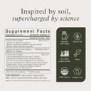 Terraflora Deep Immune Synbiotic- Sbo Probiotic And Prebiotic, Immune Support, Gut Health, Soil Based Spore Pre And Probiotics For Women And Men, Lc-Plasma, Bacillus Coagulans, Subtilis, 60 Capsules