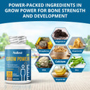 Nubest Grow Power - Calcium Supplement - Magnesium Supplement With Vitamin D3, B6, Zinc, Phosphorus And Multivitamin For Strong Bones, Overall Health For Age 10+ | 60 Capsules | 1 Month Supply Nubest Grow Power - Calcium Supplement - Magnesium Supplement With Vitamin D3, B6, Zinc, Phosphorus And Multivitamin For Strong Bones, Overall Health For Age 10+ | 60 Capsules | 1 Month Supply